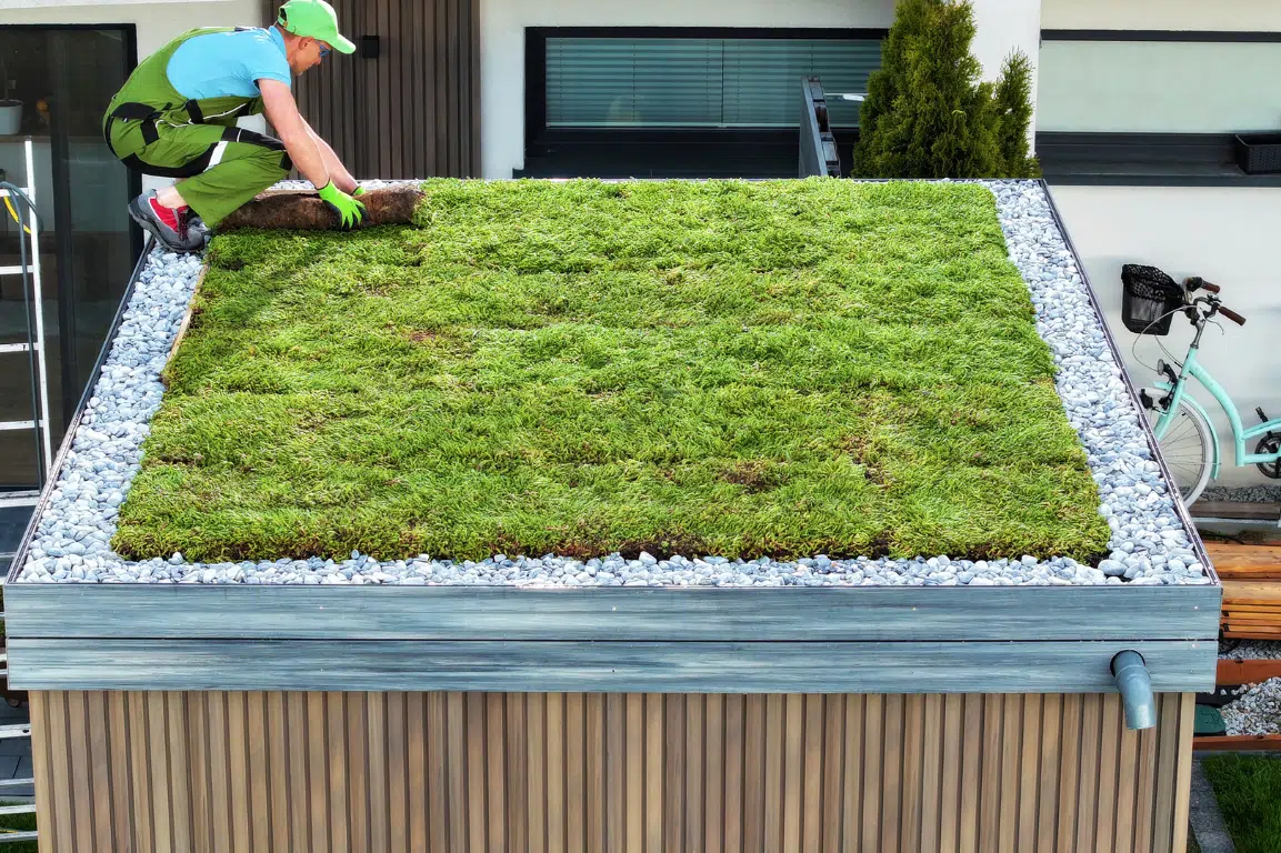 Sedumdak, groene daken. energiebesparendirect.nl